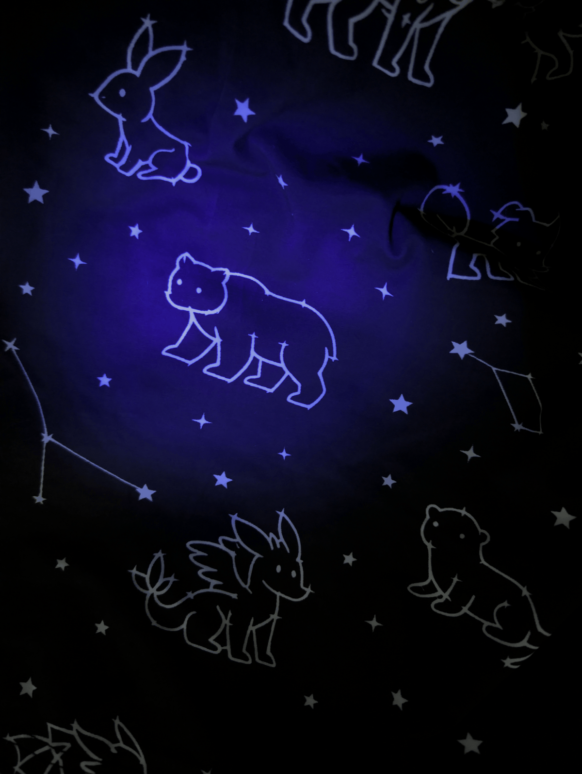Constellation Critters - T-Shirt (Preorder)